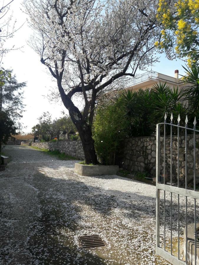 Il Giardino Dei Lauri Διαμέρισμα Γκαέτα Εξωτερικό φωτογραφία